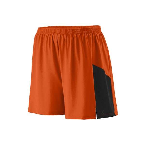 Sport Gym Mesh Fitness Shorts